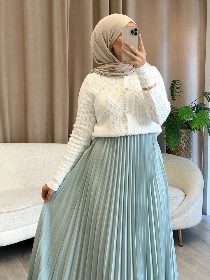 Rosé Plissee Rock in Mint